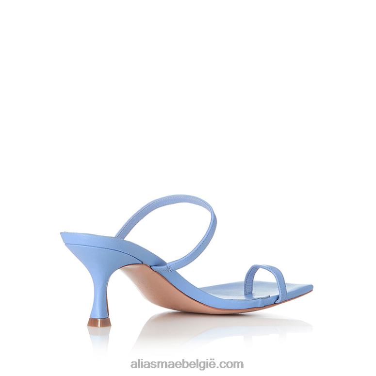 hemelsblauw leer Alias Mae bakker 2T2T0116